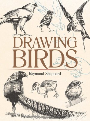 Drawing Birds - ebook